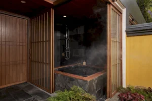 Grand Tatami Onsen Suite